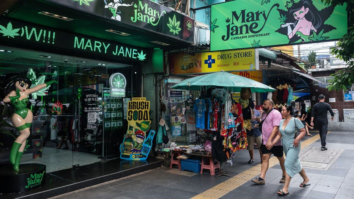Thailand's Cannabis Conundrum: Regulators Weigh Public Health Against Economic Interests