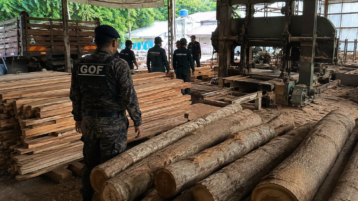 RM640,510 in timber and equipment seized from Terengganu sawmill in enforcement operation