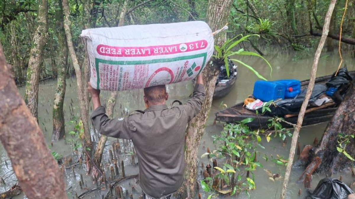 Bangladesh Raid Exposes Illegal Poison-Laced Shrimp Operation in Sundarbans World Heritage Site