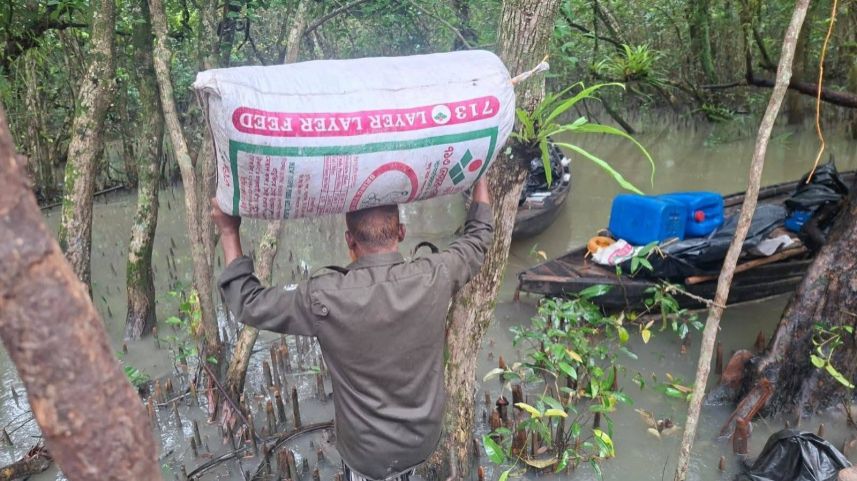 Bangladesh Raid Exposes Illegal Poison-Laced Shrimp Operation in Sundarbans World Heritage Site
