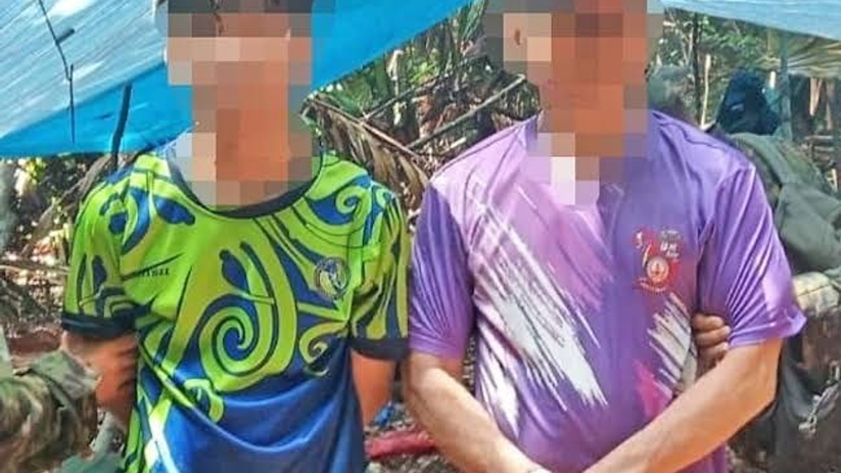 Brunei arrests two foreign nationals over alleged agarwood theft from protected forest