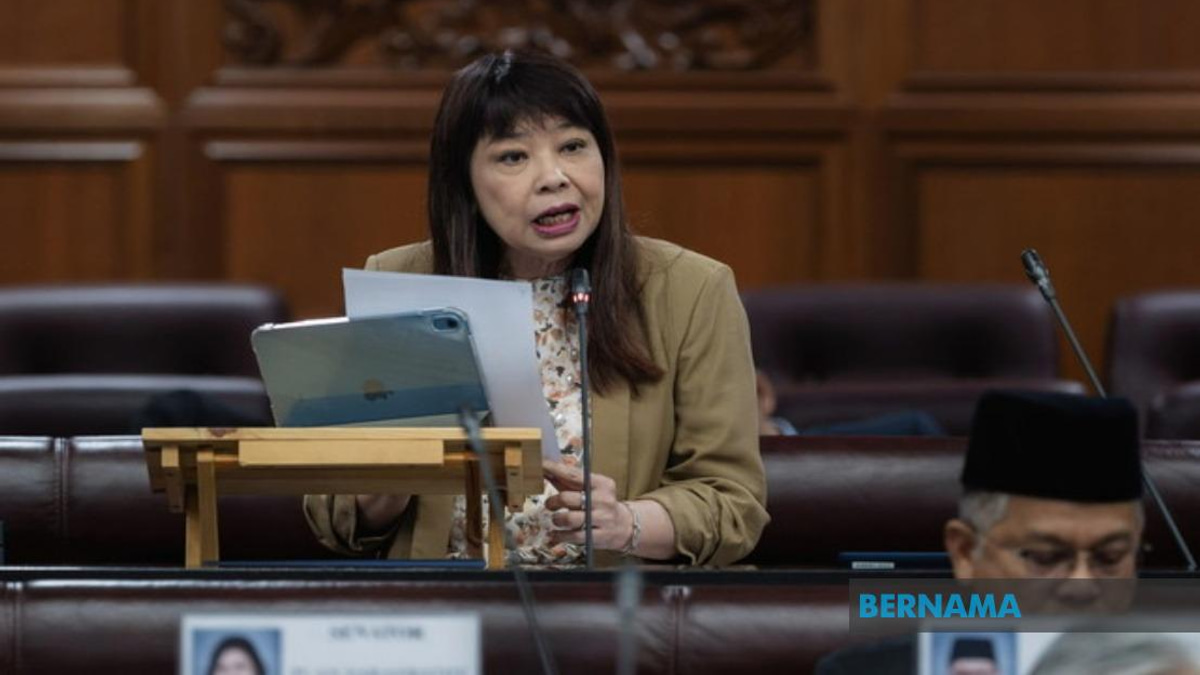 Government Develops Domestic Violence Offenders Registry to Prevent Repeat Cases