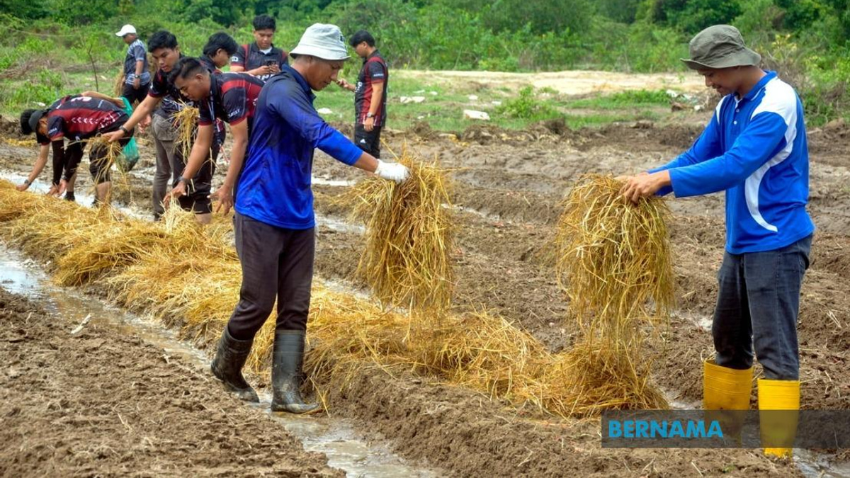 Agricultural TVET Employment Hits 76%, But Gap Remains Against National Average