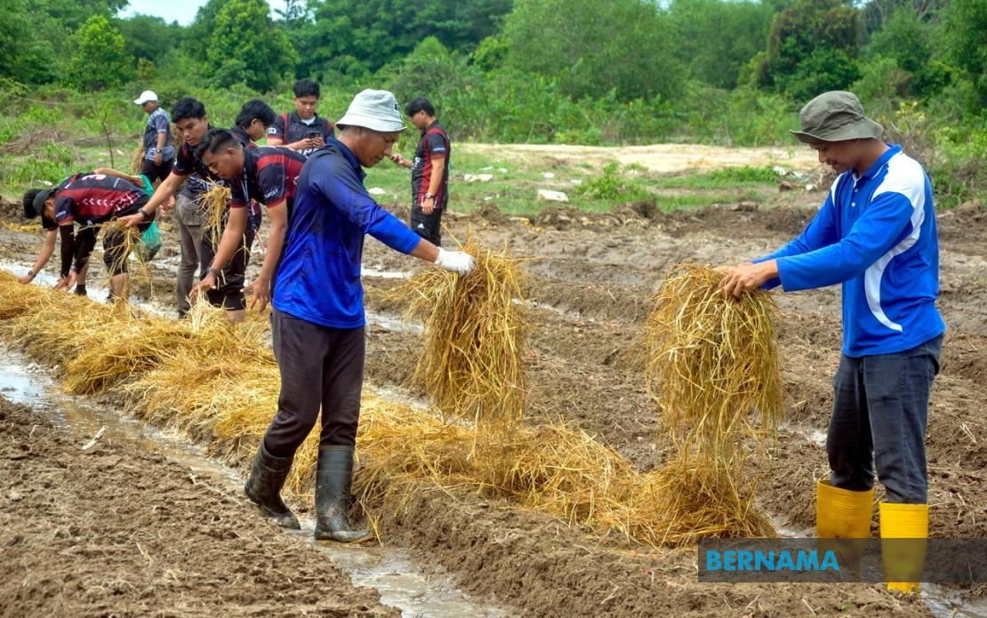 Agricultural TVET Employment Hits 76%, But Gap Remains Against National Average