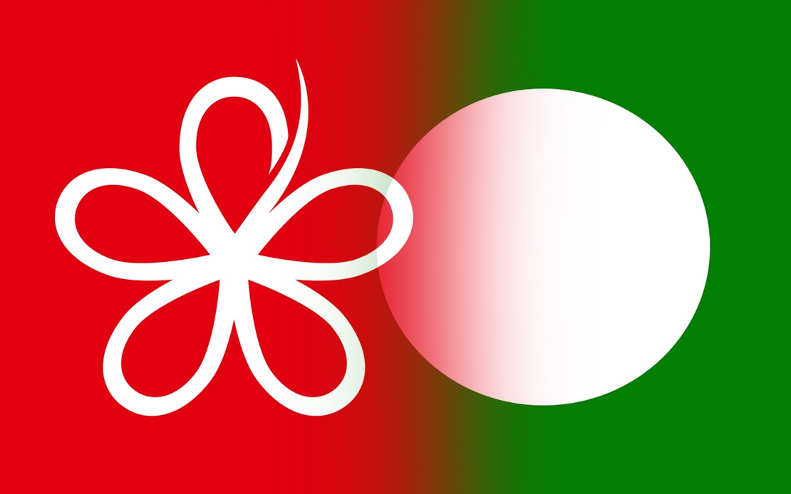 RoS Must Intervene in PN Crisis, Says Bersatu as PAS Accused of Overreach