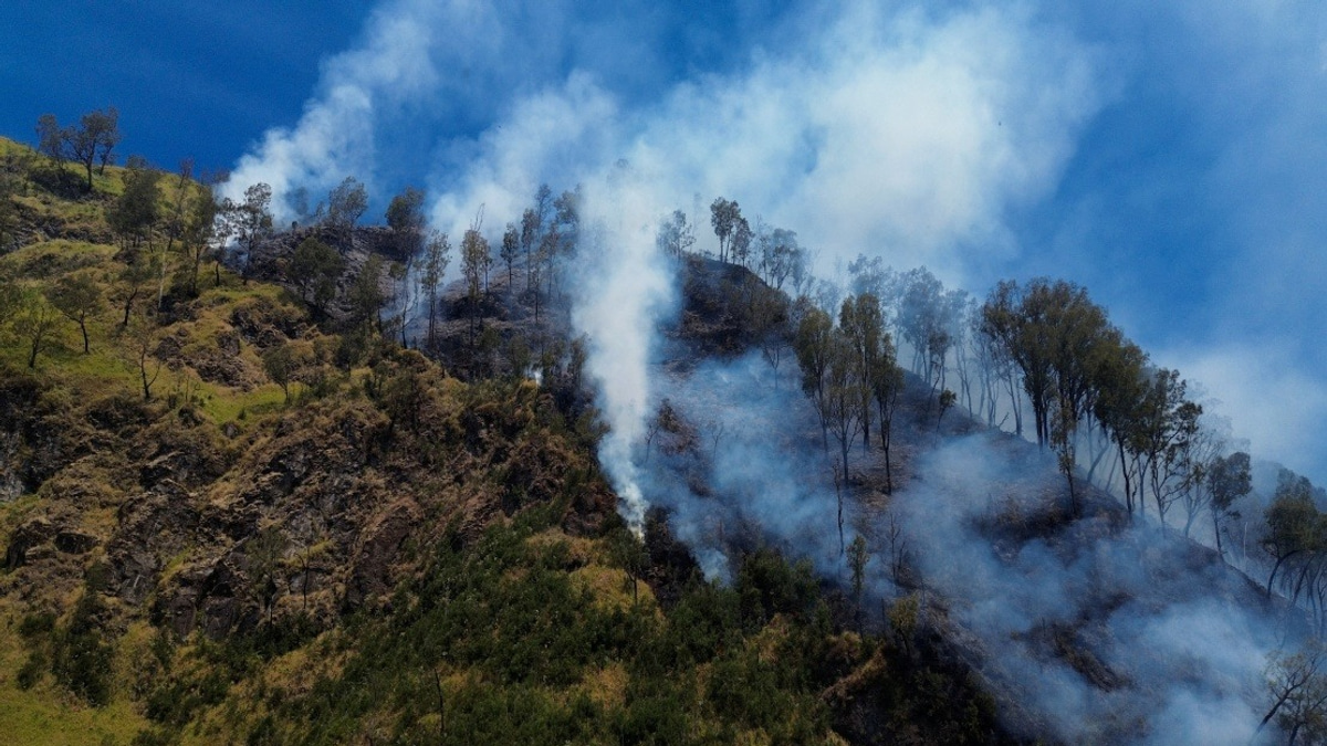 Indonesia Closes Mount Bromo to All Visitors as Wildfire Threatens East Java Park