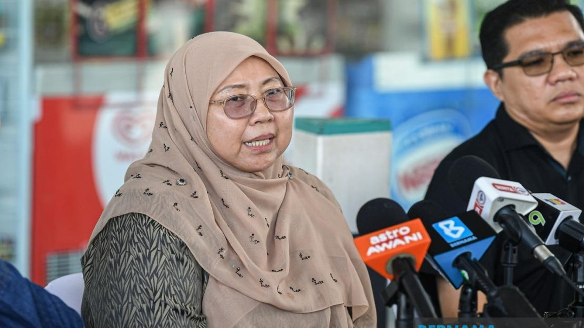 Pakatan Harapan Dismisses Sabotage Claims as Campaign Forges Ahead in Johor
