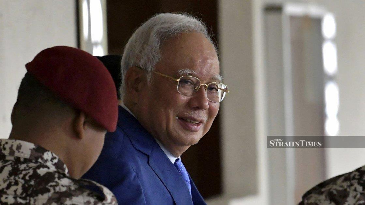 Former Skudai Assemblywoman Accuses DAP of Inconsistent Stance on Najib's Potential Pardon