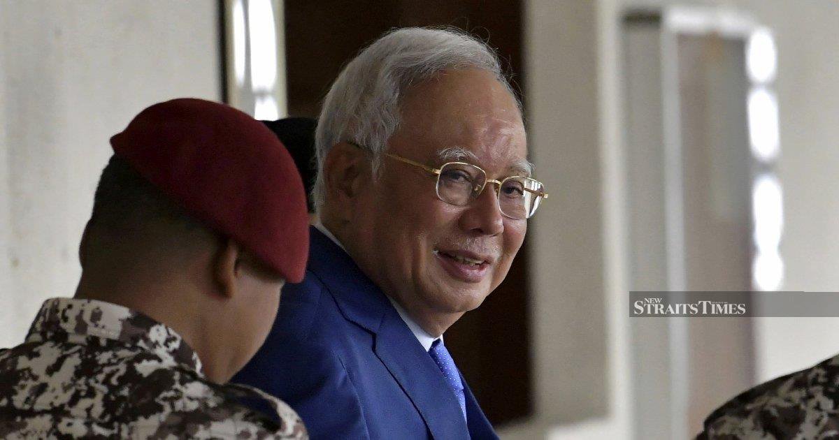 Former Skudai Assemblywoman Accuses DAP of Inconsistent Stance on Najib's Potential Pardon