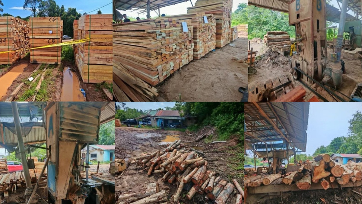 Four arrested in Kelantan timber raid; RM600,000 in equipment seized