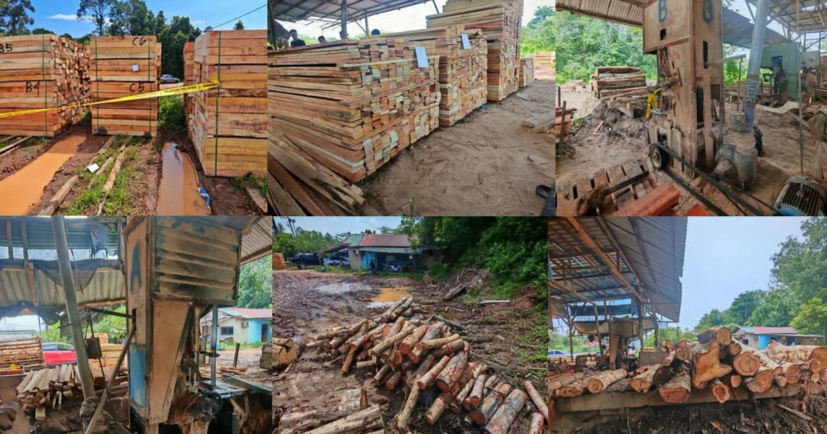 Four arrested in Kelantan timber raid; RM600,000 in equipment seized