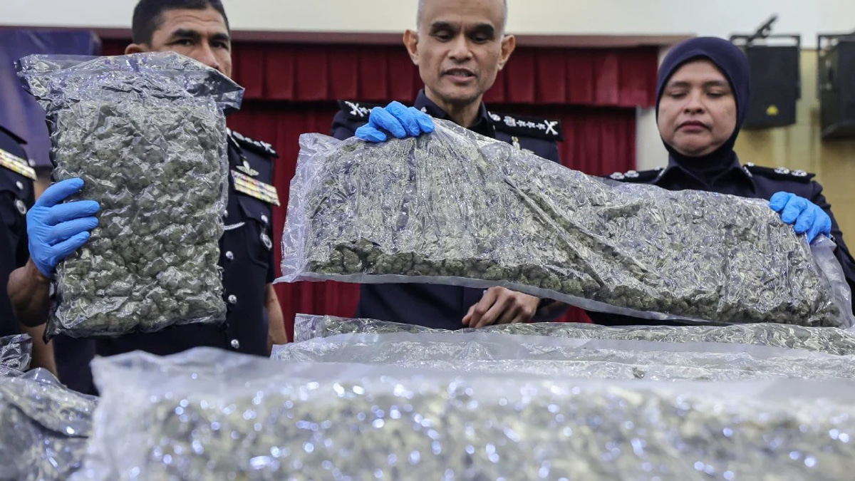Police seize 650kg cannabis at KLIA; 38 arrested in major drug trafficking operation