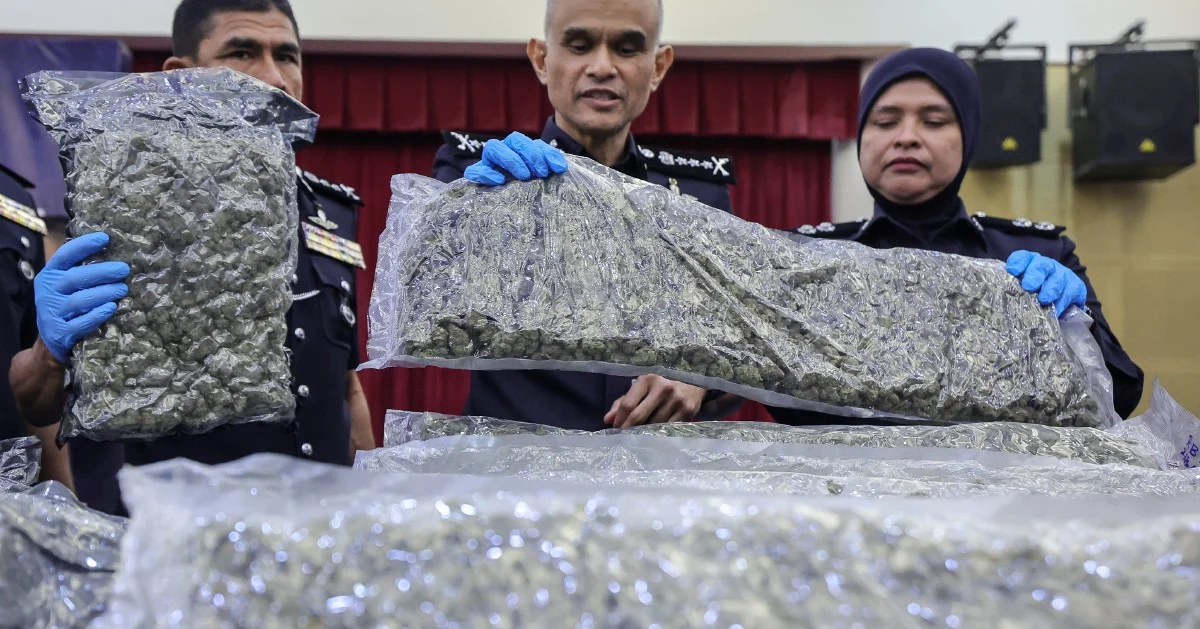 Police seize 650kg cannabis at KLIA; 38 arrested in major drug trafficking operation