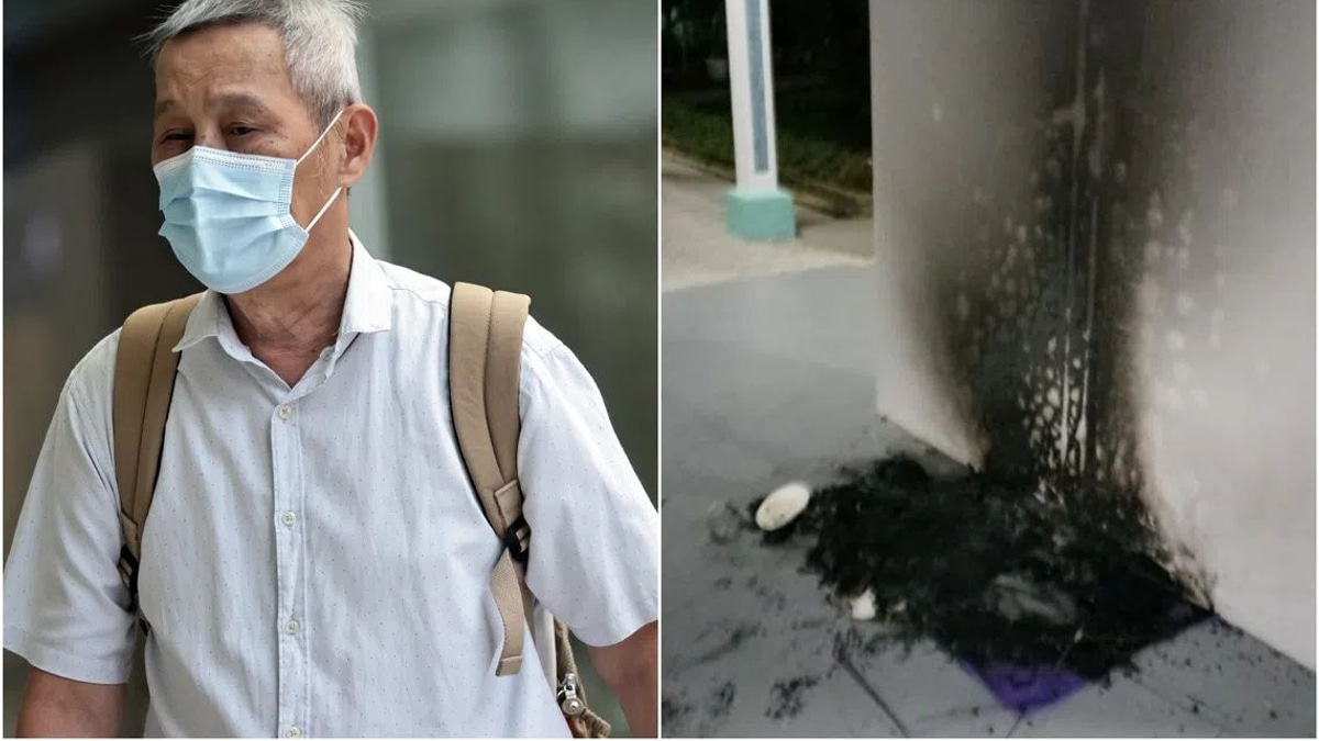 Singapore man jailed three months for burning community cat shelters in dispute over stray animal welfare