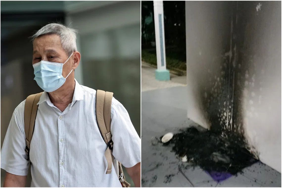 Singapore man jailed three months for burning community cat shelters in dispute over stray animal welfare