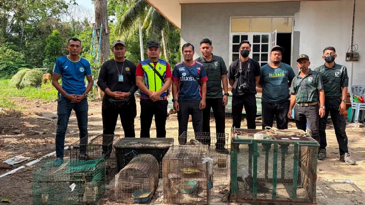 Teen held with nearly RM50,000 in protected animals as wildlife enforcement tightens