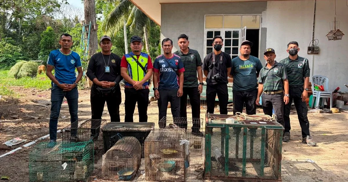 Teen held with nearly RM50,000 in protected animals as wildlife enforcement tightens