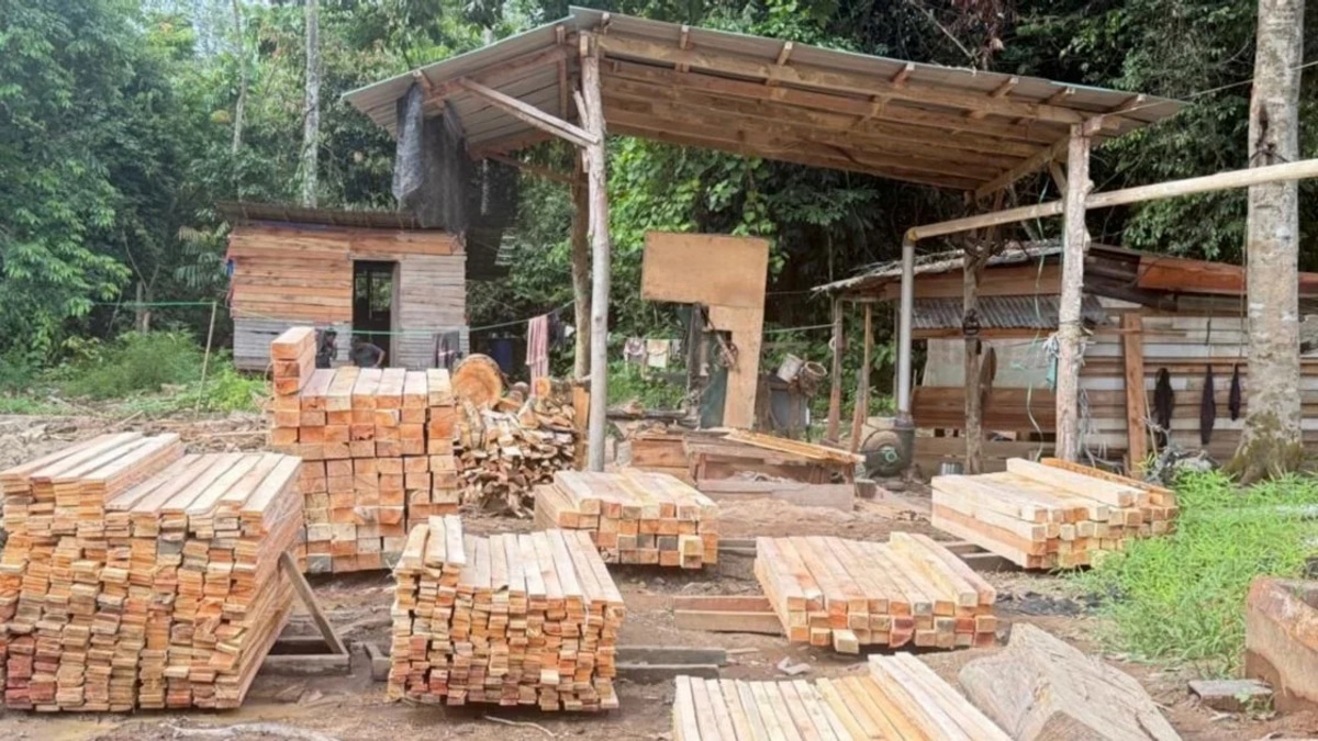 Five held after GOF breaks up illegal sawmill operation in Gua Musang