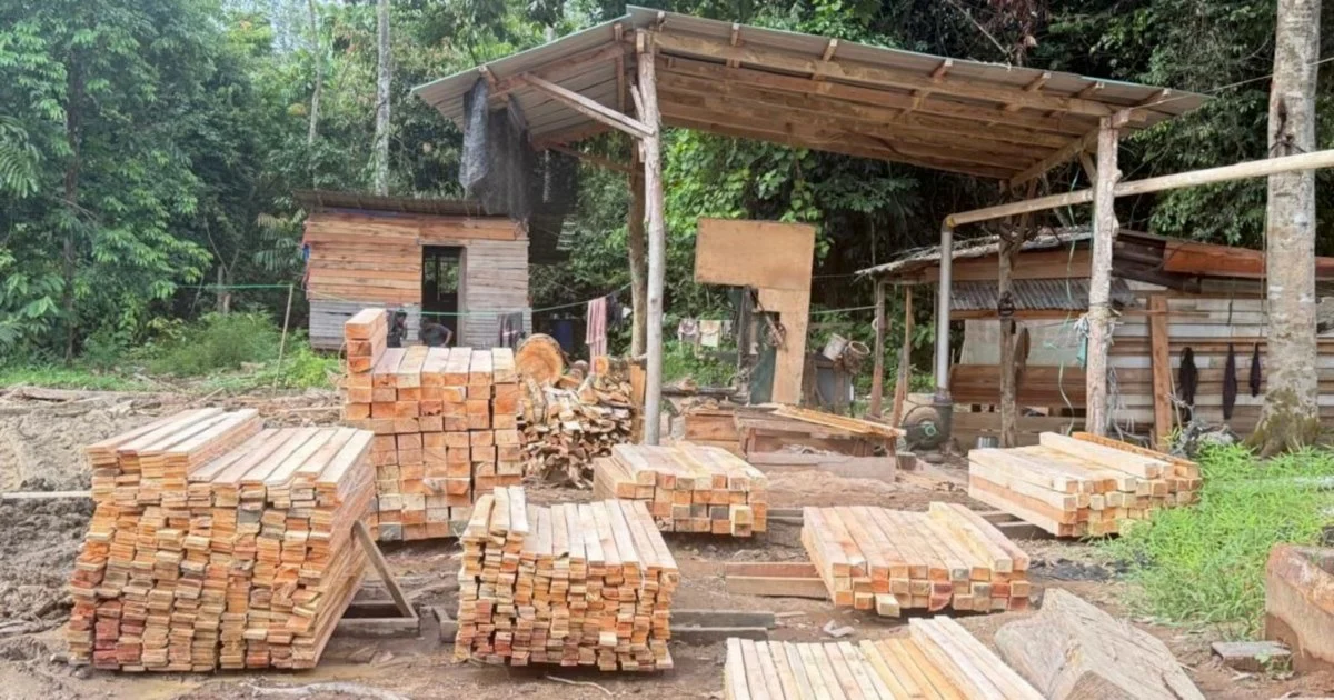 Five held after GOF breaks up illegal sawmill operation in Gua Musang