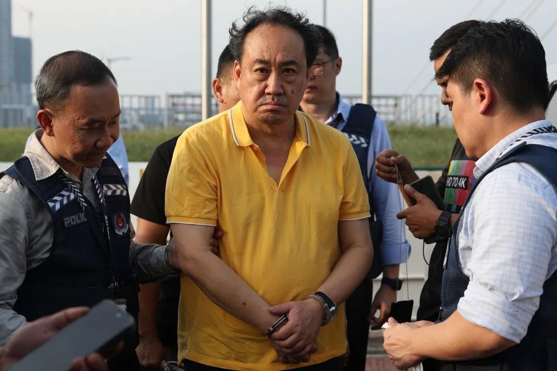 Singapore-based lawyer Lim Tean deported after arrest in Johor for evading jail term