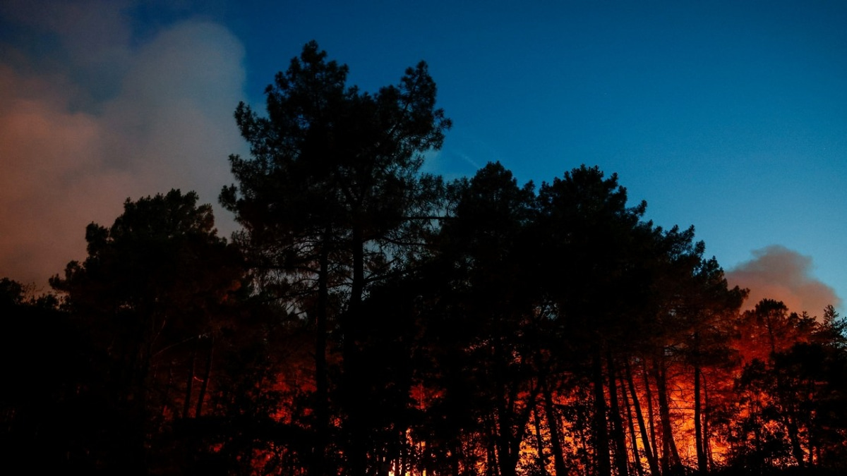 France Battles Unprecedented Wildfire Crisis as 119,000 Hectares Burn in 2023