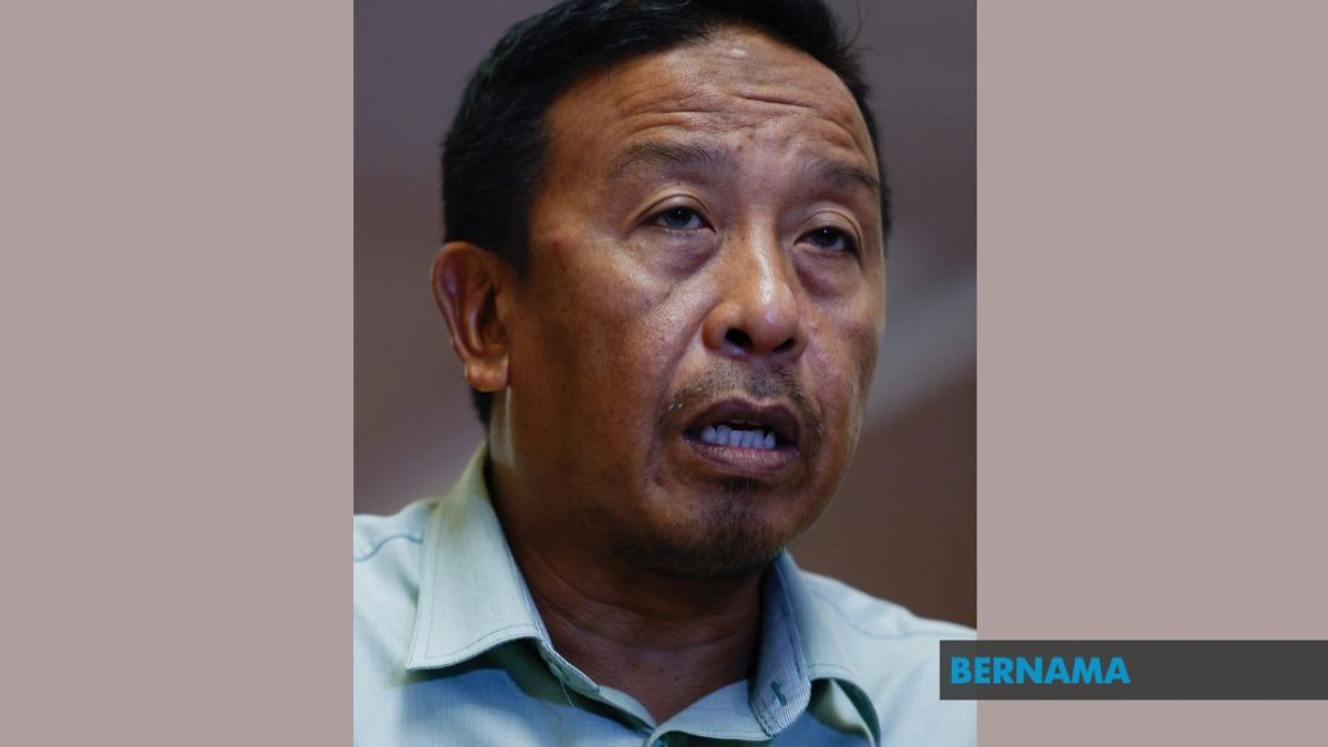 Perhilitan Forms Task Force to Overhaul Elephant Procession Rules Following Public Outcry