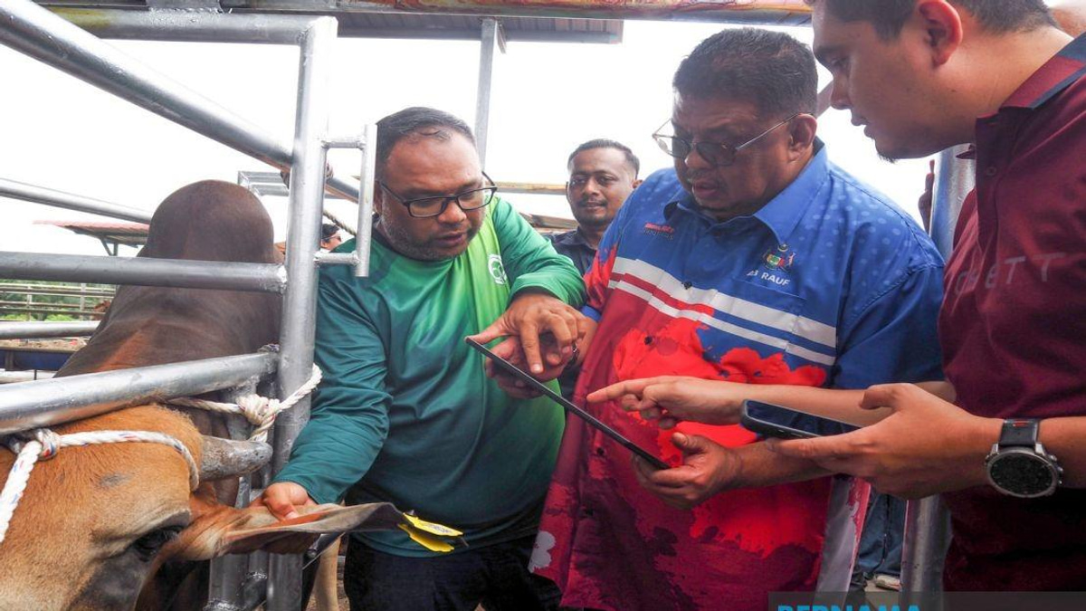 Melaka Adopts QR Tag Technology to Transform Livestock Management and Enhance Public Safety