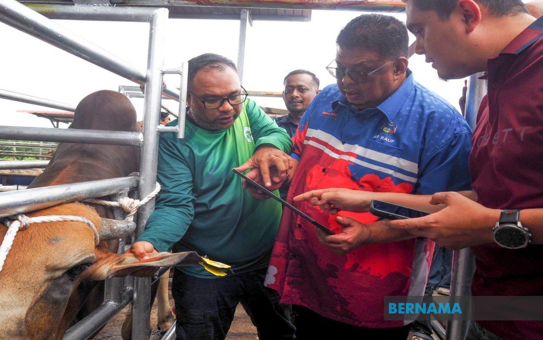 Melaka Adopts QR Tag Technology to Transform Livestock Management and Enhance Public Safety